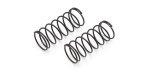 Kyosho W5309-36 - Big Bore Spring(L=44/3.55/2pcs)